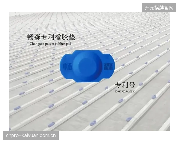 统计表明，采用双级减震垫的木地板系统，其年度维护成本较传统单层龙骨结构降低了近30%